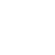 WordPress Logo