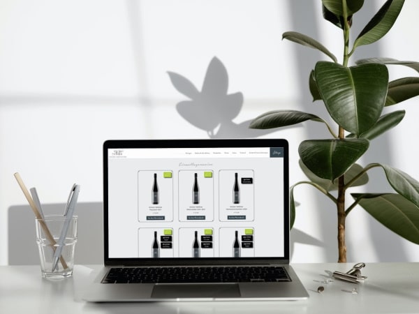 Du betrachtest gerade Ebner-Ebenauer