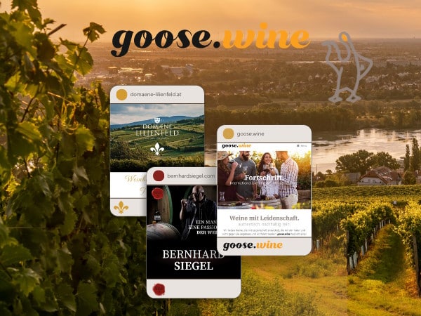 Read more about the article goose.wine