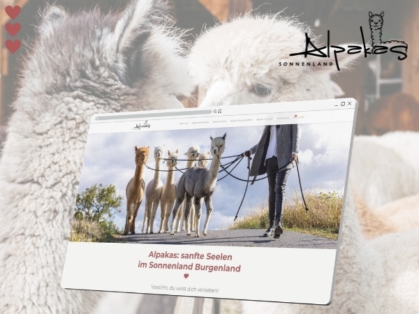 alpakas